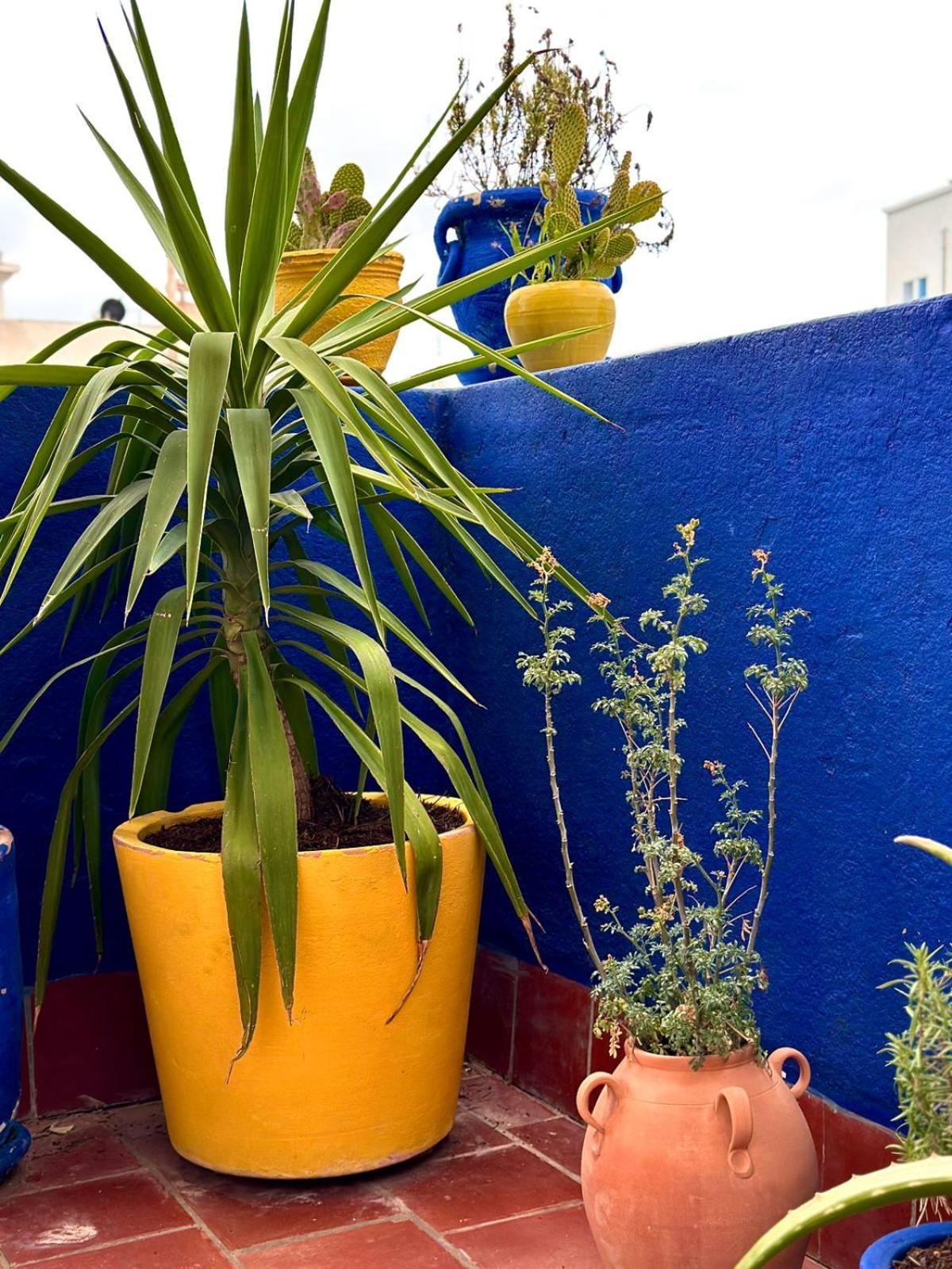 Nomads Hostel Tunisia Exteriér fotografie