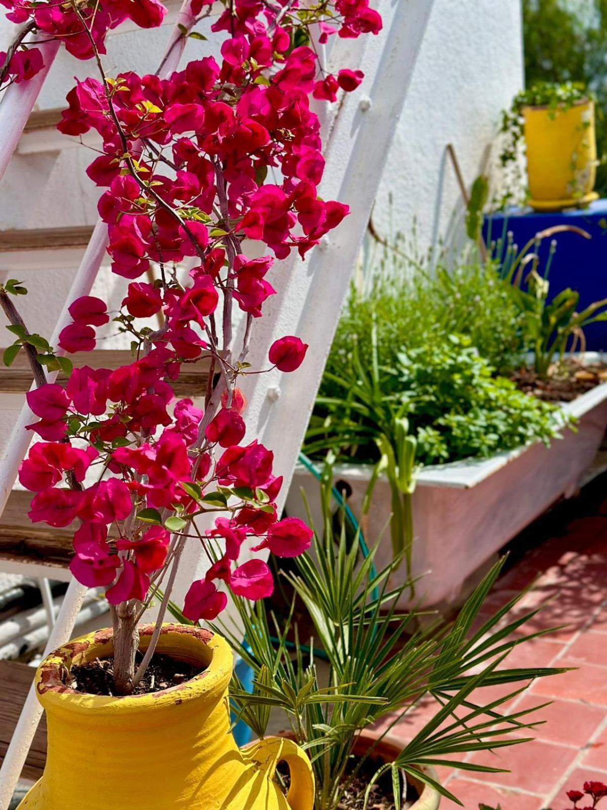 Nomads Hostel Tunisia Exteriér fotografie